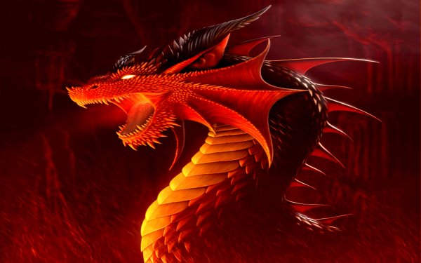 Fantasy - dragon Wallpapers and Backgrounds