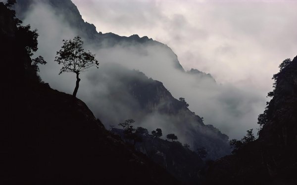 Earth - fog Wallpapers and Backgrounds