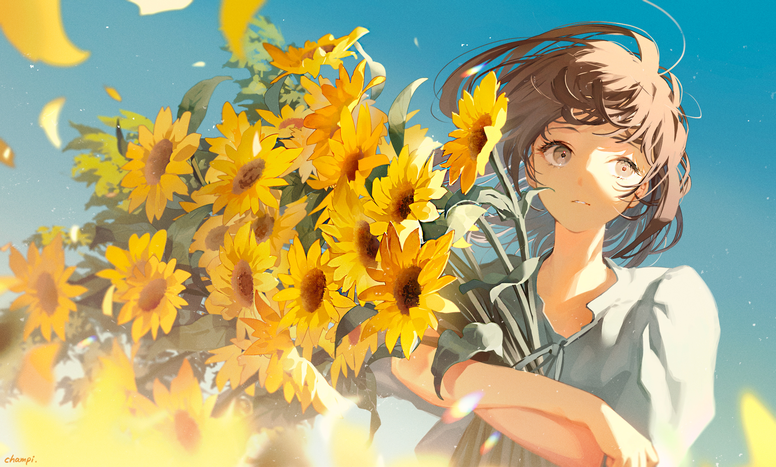 Sunflower Breeze Anime Girl HD Wallpaper