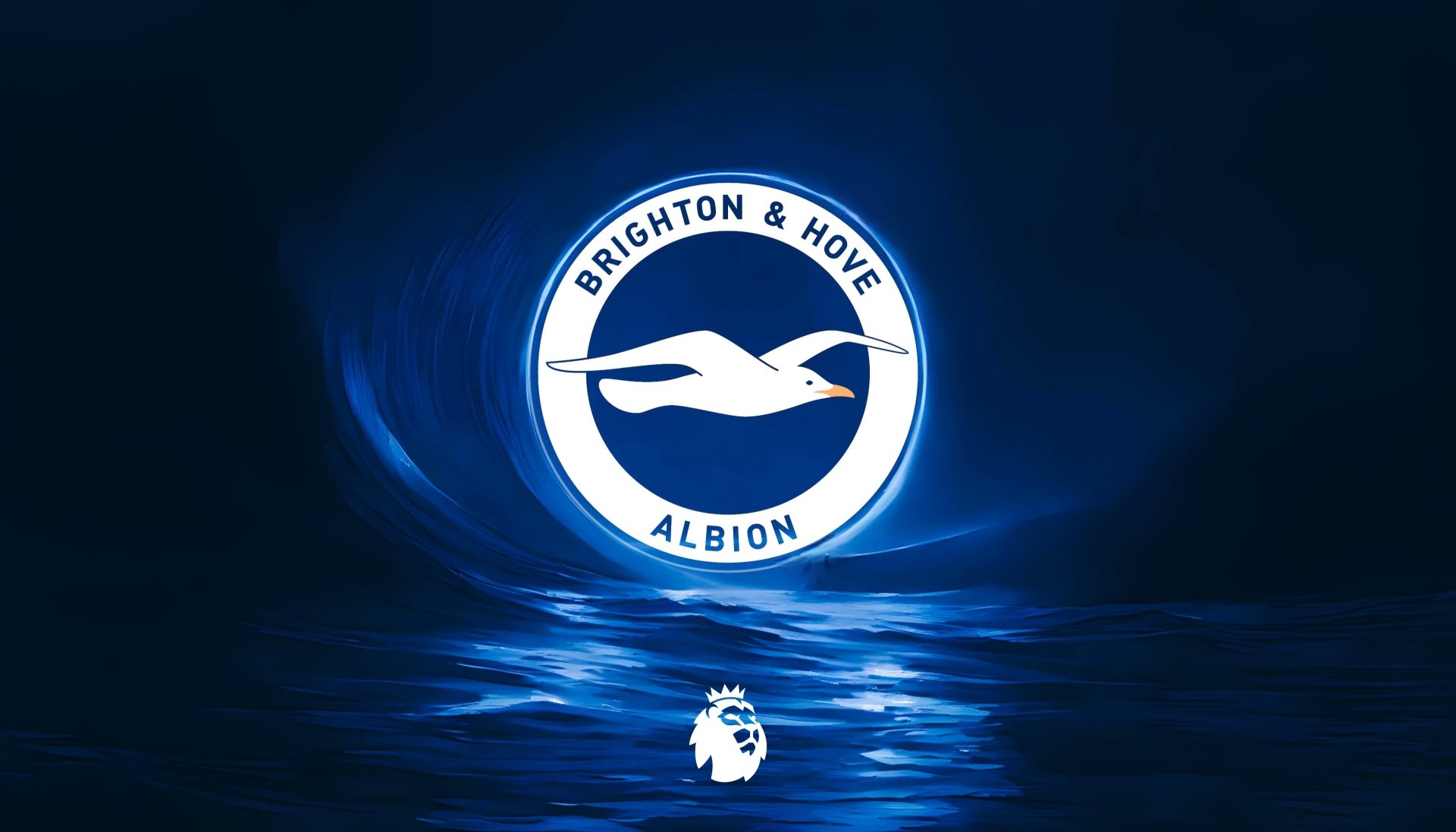 Brighton Hove Albion F C 4k Wallpapers