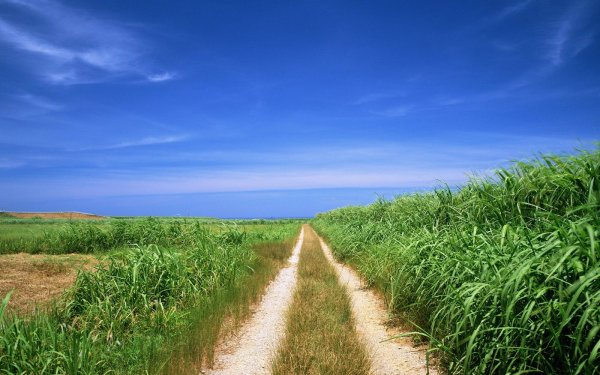 Man Made - road Wallpapers and Backgrounds