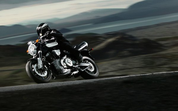 Vehicles - harley davidson Wallpapers and Backgrounds