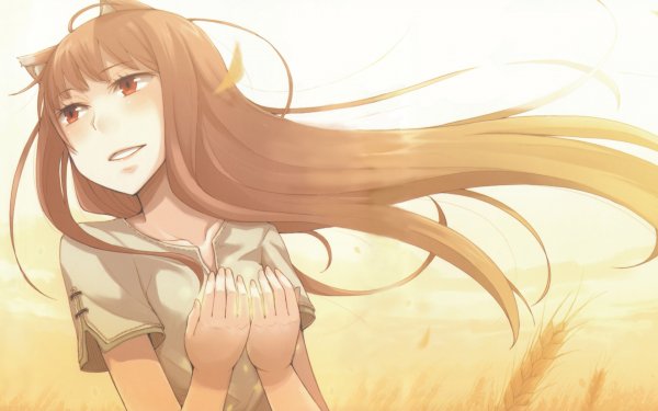 Anime - spice and wolf Wallpapers and Backgrounds