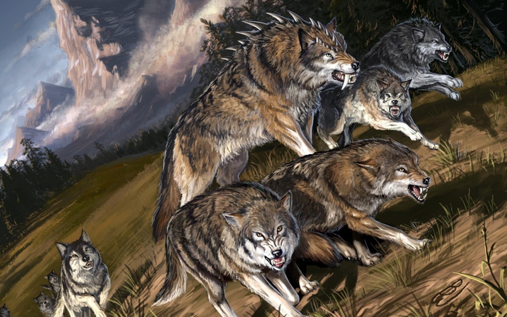 Animal - wolf Wallpaper