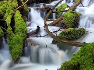 Earth - waterfall Wallpapers and Backgrounds