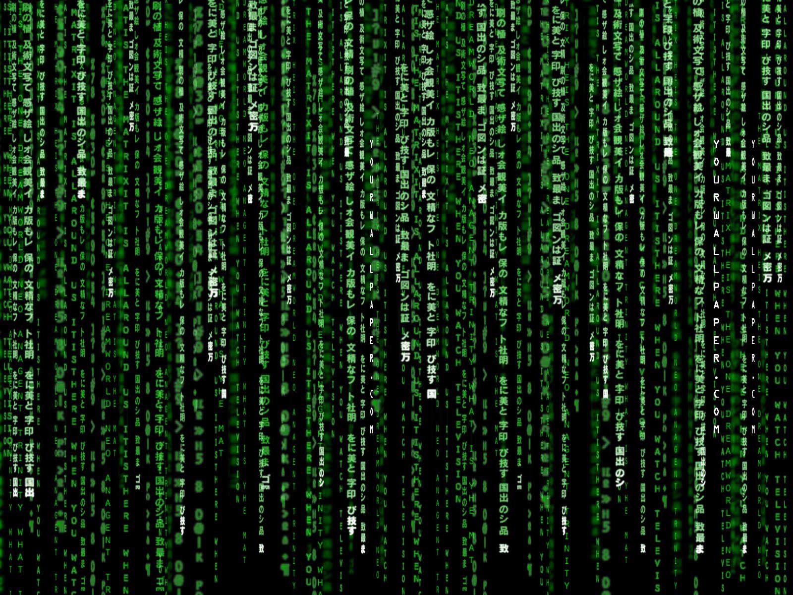 The Matrix Background