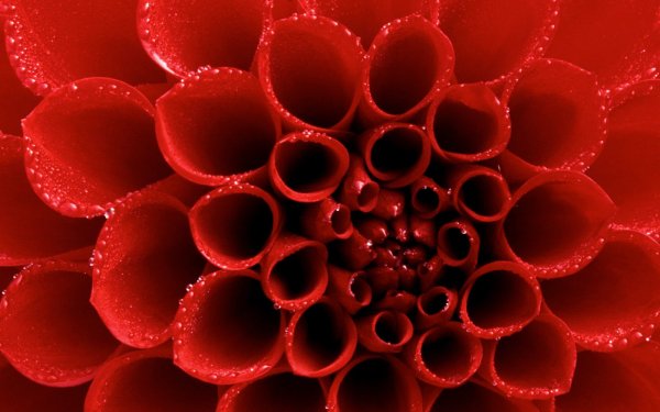 Artistic - Love Wallpapers and Backgrounds