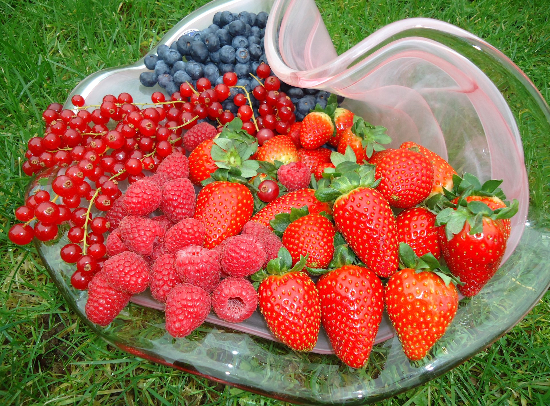 Gıda Berry Duvarkağıdı