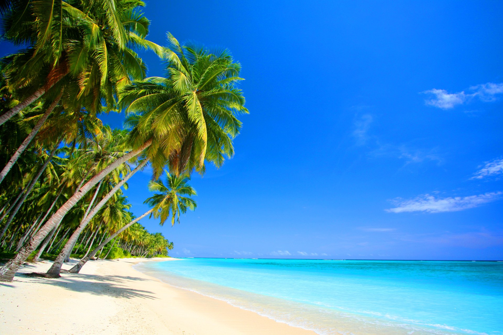 Playa Naturaleza Fondos De Pantalla De Escritorio Fon Vrogue Co