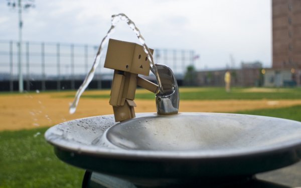 Misc - Danbo Wallpapers and Backgrounds