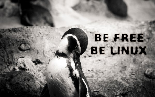 Technology - Linux Wallpapers and Backgrounds