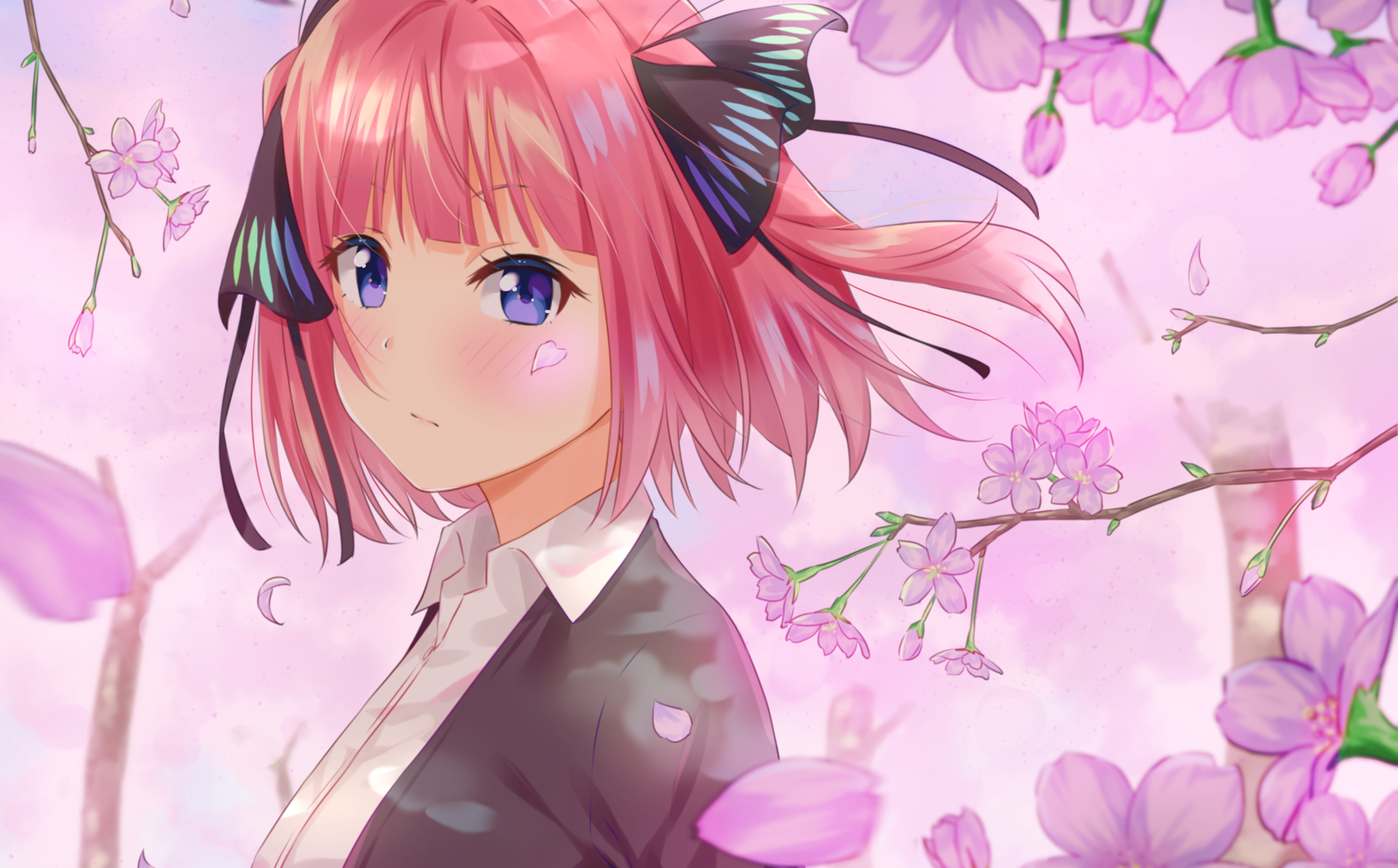 The Quintessential Quintuplets HD Wallpaper | Background Image