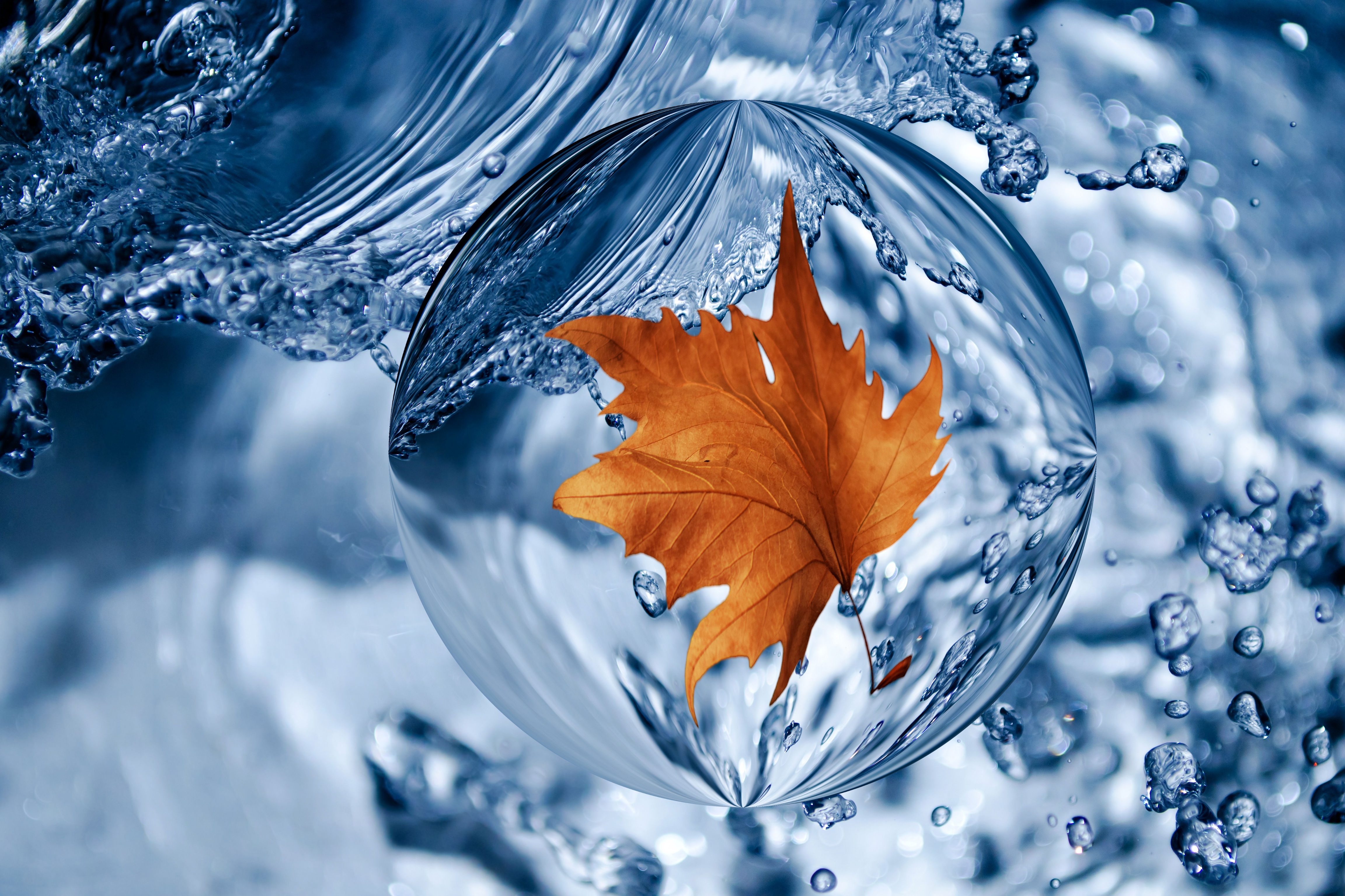 Leaf in a Water Drop by Hans Benn