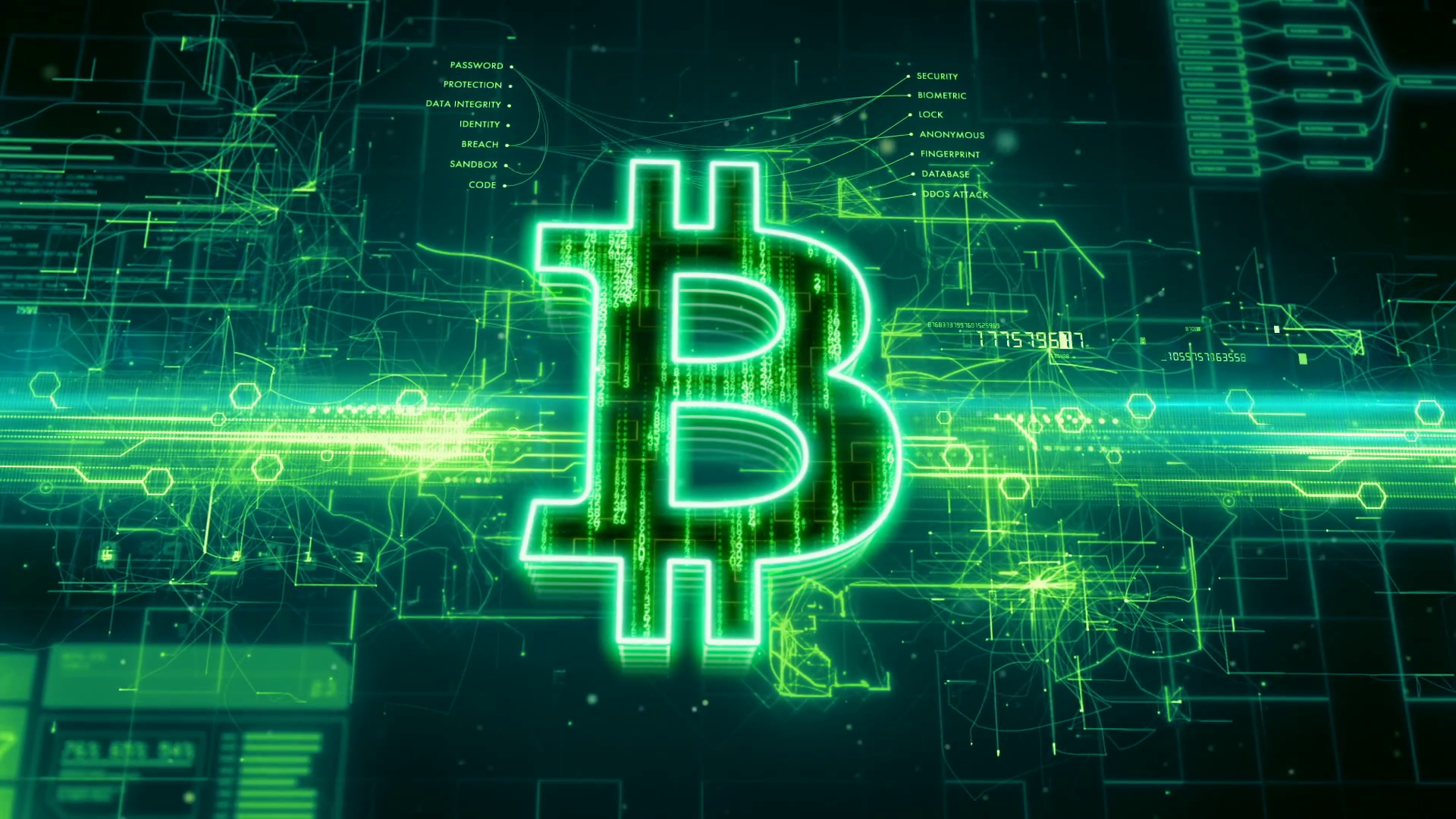 Download Cryptocurrency Technology Bitcoin HD Wallpaper