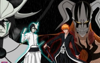 Ichigo Kurosaki vs. Ulquiorra Cifer: Final Fight