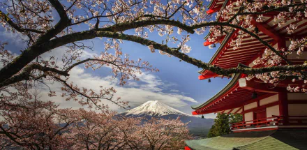 Japan Chureito Pagoda religious pagoda HD Desktop Wallpaper | Background Image