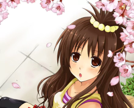 Mikan Yuuki Anime To Love-Ru HD Desktop Wallpaper | Background Image