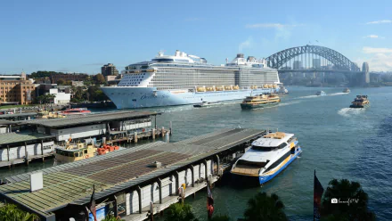 Ovation of the Seas cruise ship docked at Sydney Harbour with ferries and other vessels by Circular Quay, vehicles on the quay and the Sydney Harbour Bridge in the background.