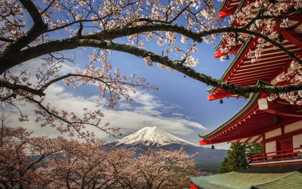 Japan Chureito Pagoda religious pagoda HD Desktop Wallpaper | Background Image