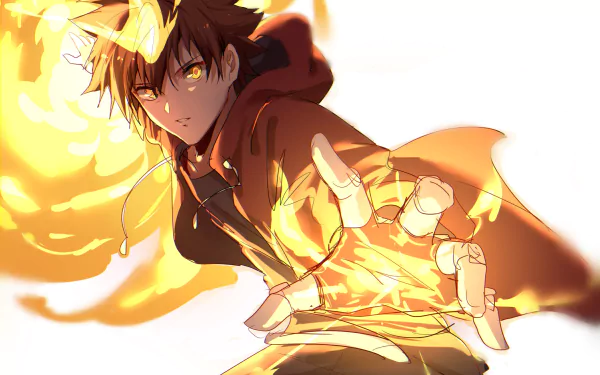 HD desktop wallpaper featuring Tsunayoshi Sawada from the anime Katekyō Hitman Reborn! with a dynamic pose and fiery background.