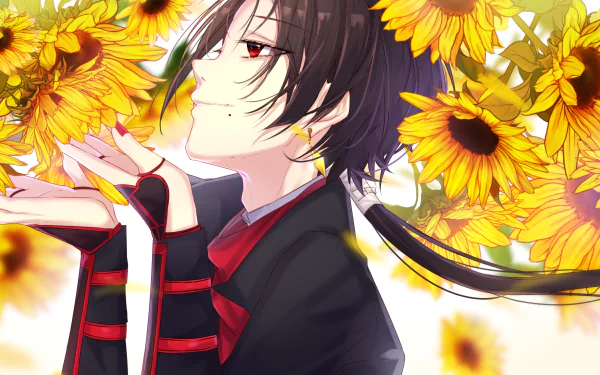 Kashuu Kiyomitsu Anime Touken Ranbu HD Desktop Wallpaper | Background Image