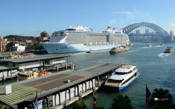 Vehicles Cruise Ship Cruise Ships Ovation of the Seas Ship Sydney Harbour Sydney Harbour Bridge Ferry HD Wallpaper | Background Image