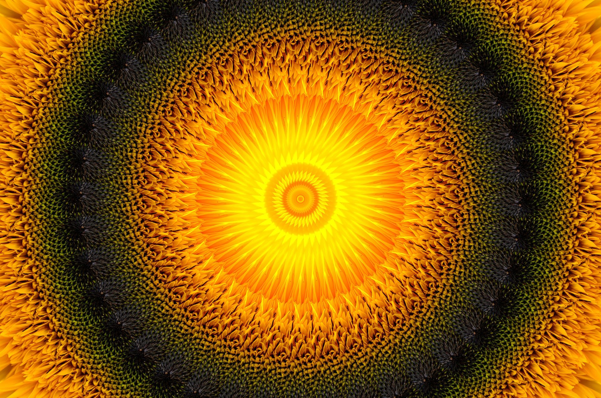 kaleidoscope by Susanlu4esm