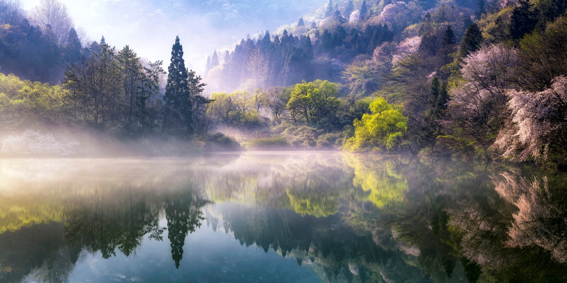 HD desktop wallpaper showcasing a serene lake surrounded by misty trees and lush greenery in a tranquil natural setting.