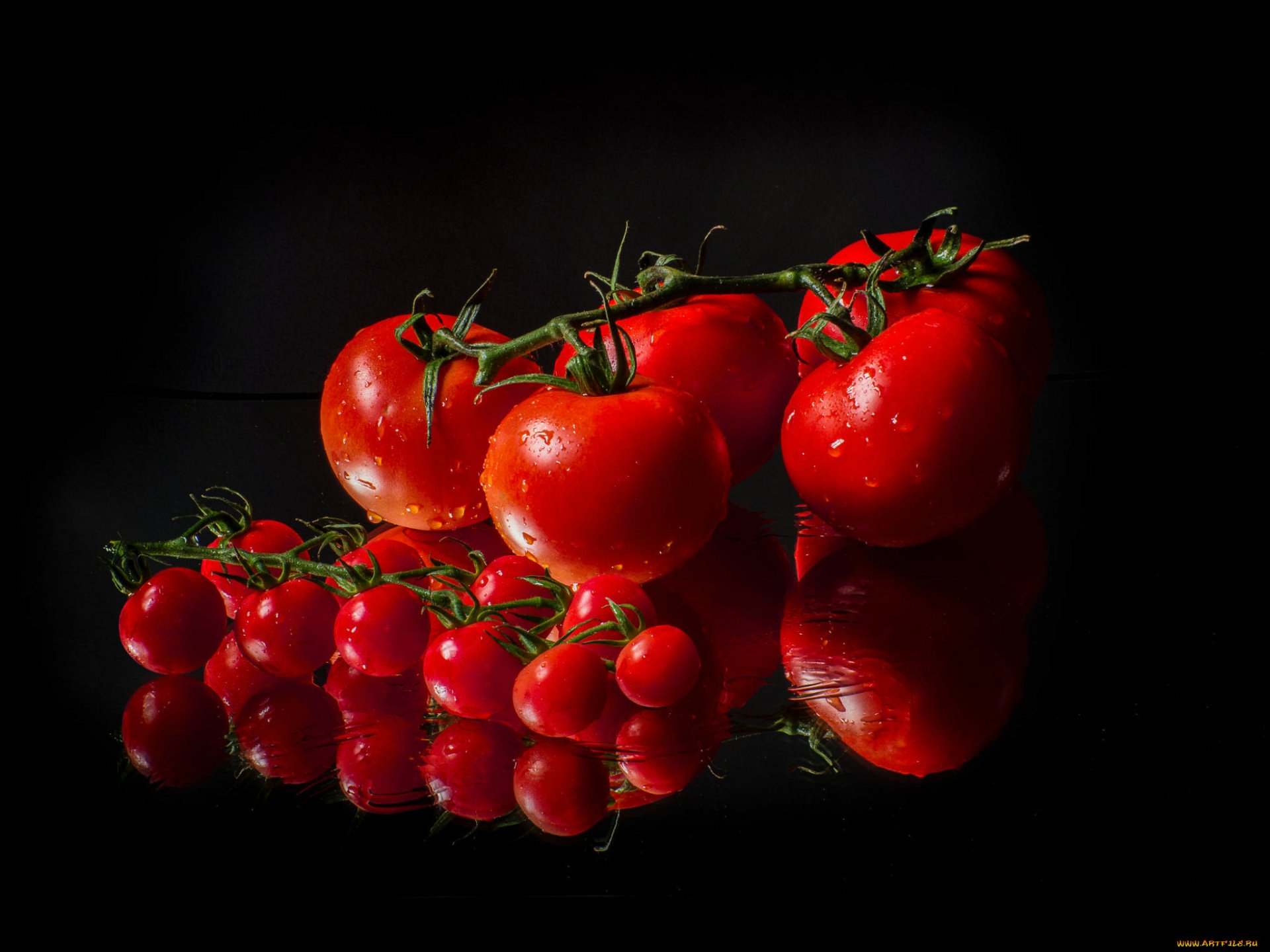 Download Food Tomato HD Wallpaper