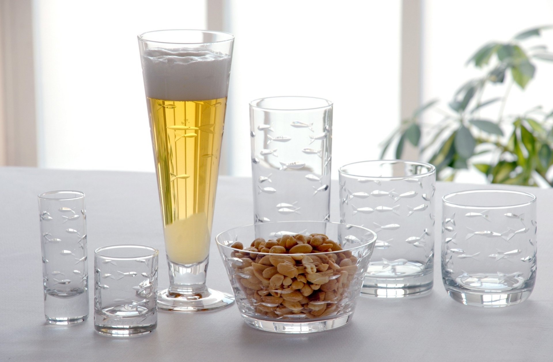 Download Foam Glass Peanut Food Beer HD Wallpaper