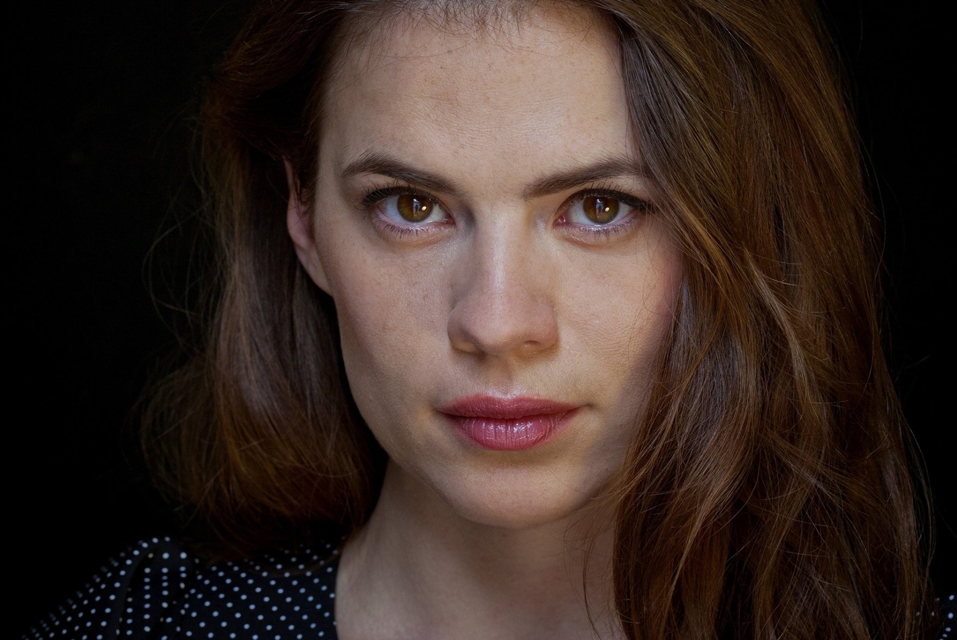 Download Brown Eyes Face Brunette Actress English Celebrity Hayley Atwell HD Wallpaper