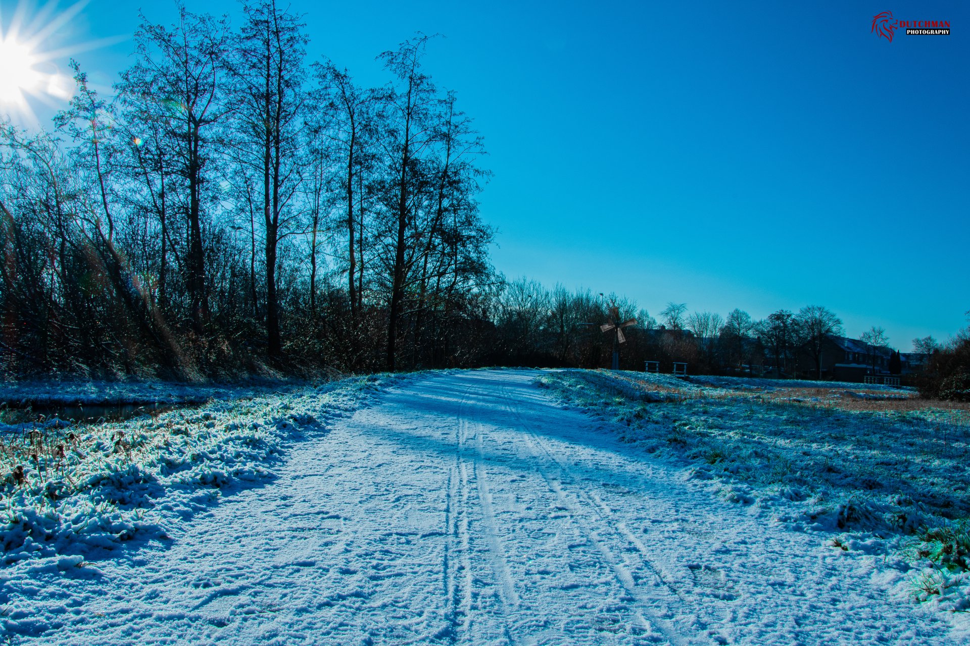 Winter path covered in snow under a bright sun and clear blue sky, bordered by bare trees, captured in stunning 4K Ultra HD detail for a PC desktop wallpaper.