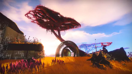 Destiny 2: Forsaken tree video game Destiny 2 HD Desktop Wallpaper | Background Image