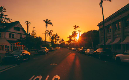 2K Quad HD PC desktop wallpaper: Coronado, California city street at sunset, palm trees beside man-made buildings lining a sunlit road with parked cars.