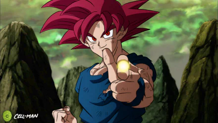 Super Saiyan God Goku Anime Dragon Ball Super HD Desktop Wallpaper | Background Image