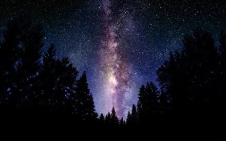 A stunning HD desktop wallpaper featuring a night sky filled with stars, enhanced through photography manipulation, with a silhouette of trees in the foreground and the Milky Way prominently visible.