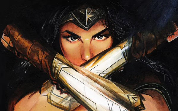 Diana Prince DC Comics Comic Wonder Woman HD Desktop Wallpaper | Background Image