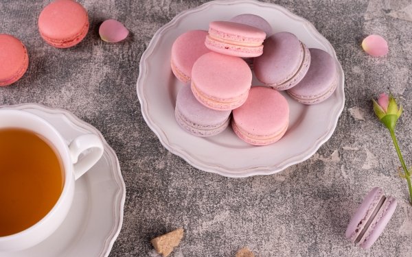 Food Macaron Sweets Still Life HD Wallpaper | Background Image