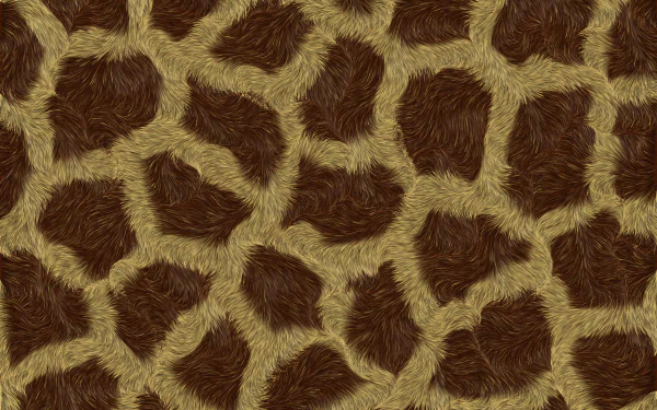 skin brown Abstract texture HD Desktop Wallpaper | Background Image