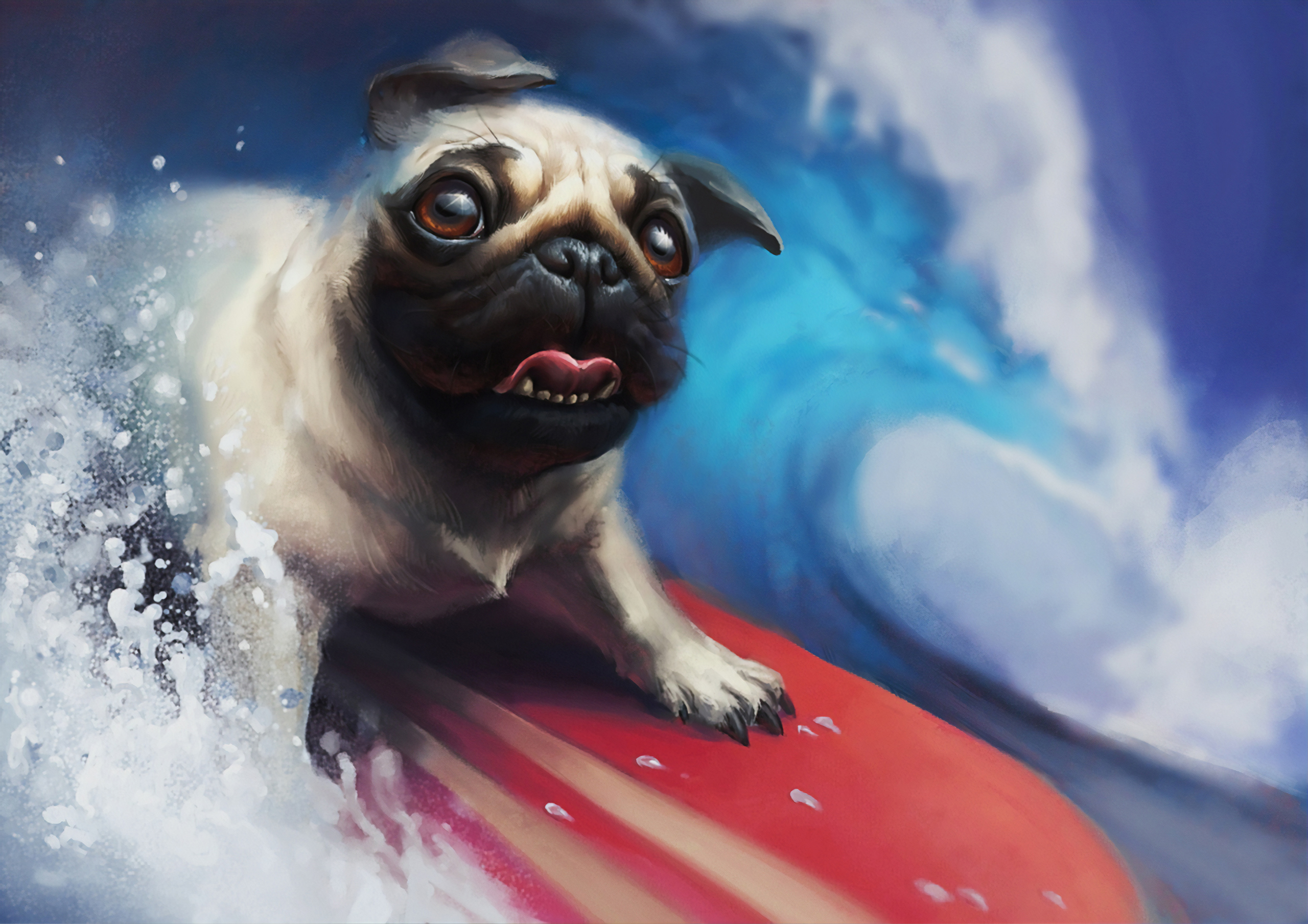 Animal Pug HD Wallpaper | Background Image