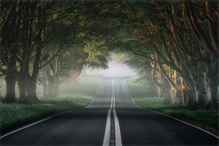 A 4K Ultra HD wallpaper of a foggy, tree-lined man-made road disappearing into mist, creating a serene and mysterious atmosphere.