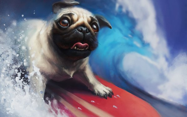 Animal Pug Dogs Dog Surfing HD Wallpaper | Background Image