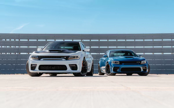 HD desktop wallpaper featuring a white Dodge Charger SRT Hellcat muscle car parked beside a blue Dodge Charger SRT under a clear blue sky.