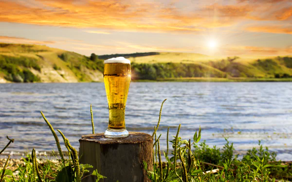 alcohol drink food beer HD Desktop Wallpaper | Background Image