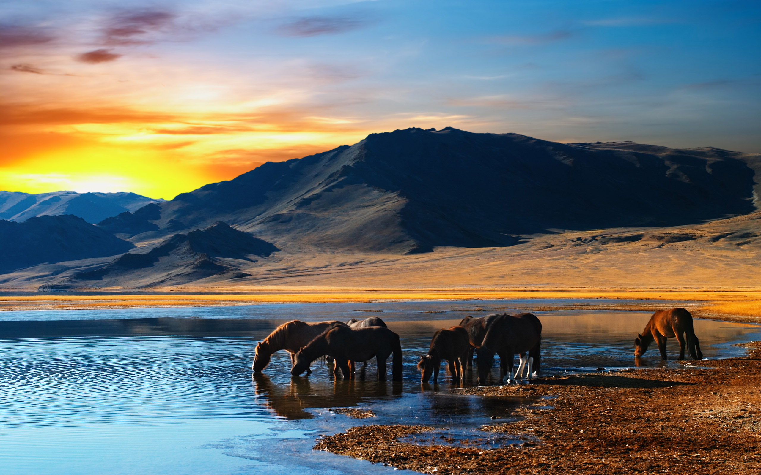 Fantasy Mongolian wilderness with an earth landscape and a herd. HD desktop wallpaper.