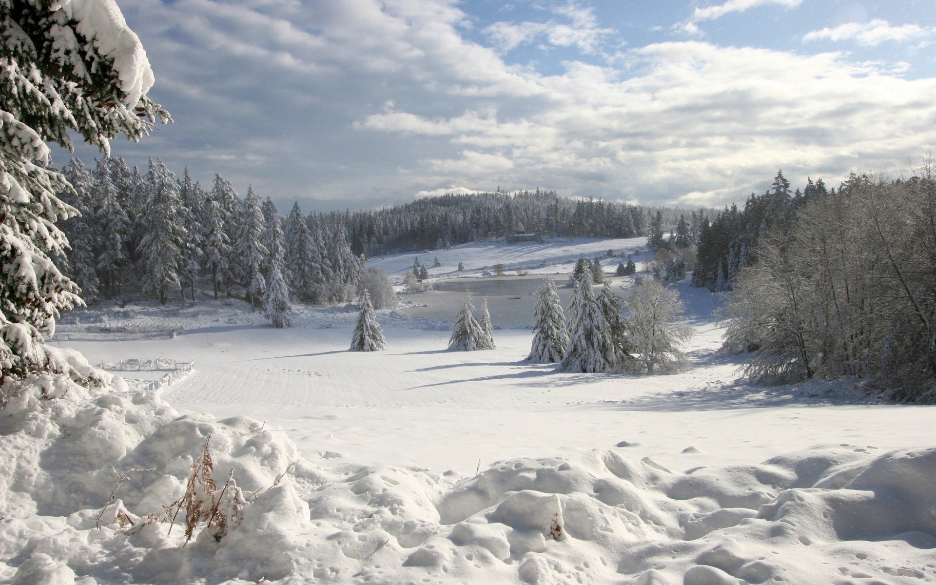 Download Nature Winter  HD Wallpaper