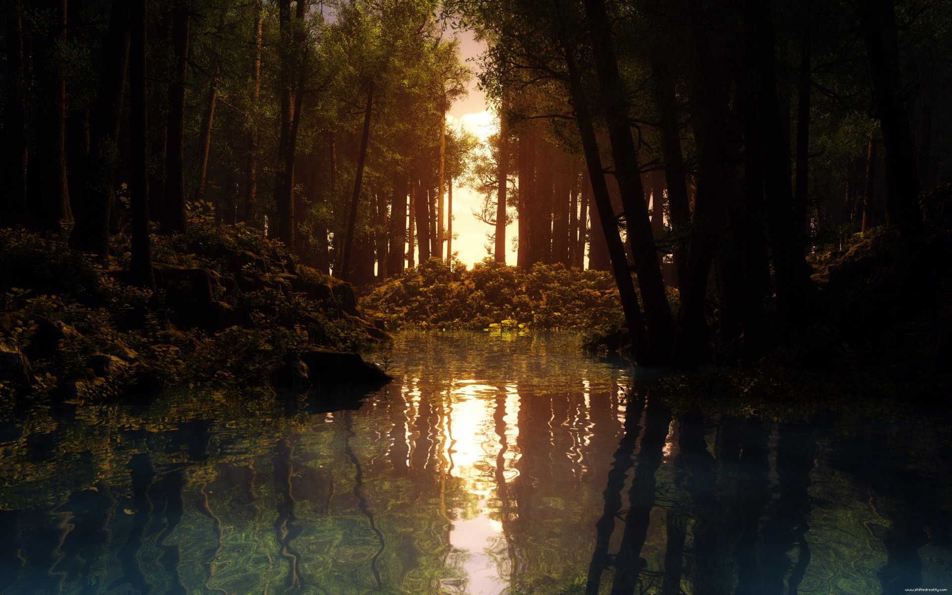 HD desktop wallpaper showcasing a serene nature landscape with water reflecting a glowing sunset through tall trees in a peaceful forest setting.
