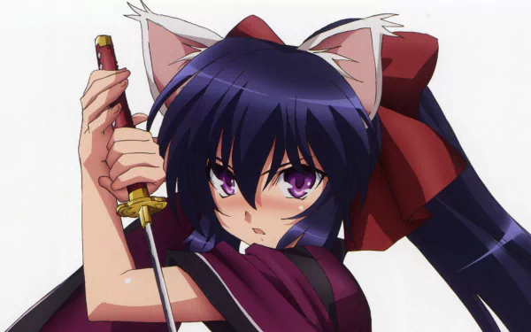 Himari Noihara Anime Omamori Himari HD Desktop Wallpaper | Background Image