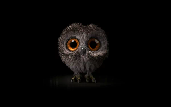  Cute Baby Owl