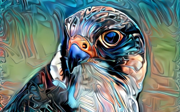 Animal Artistic Bird Colors HD Wallpaper | Background Image